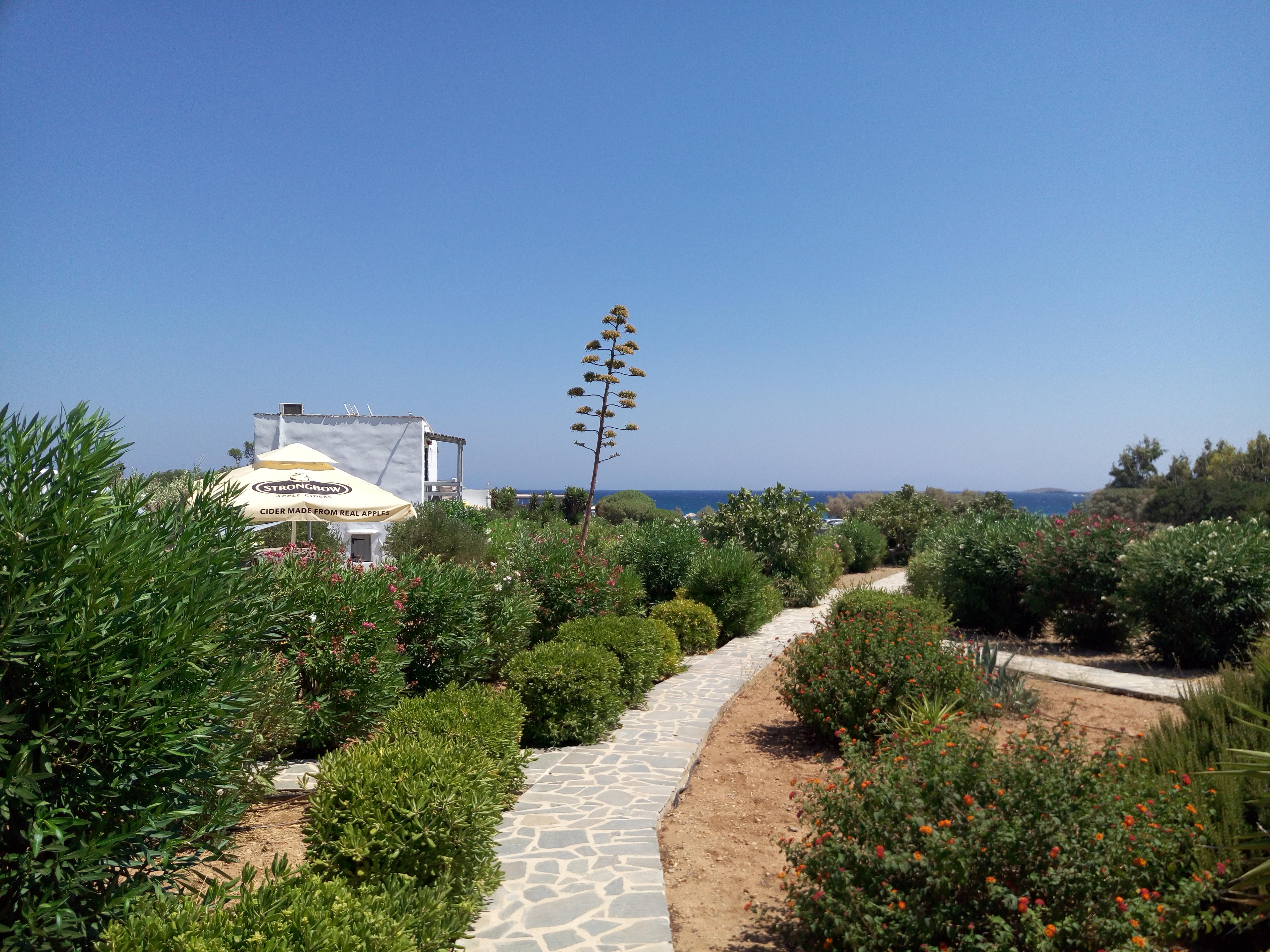 Soros Beach Antiparos Agios Georgios  Extérieur photo